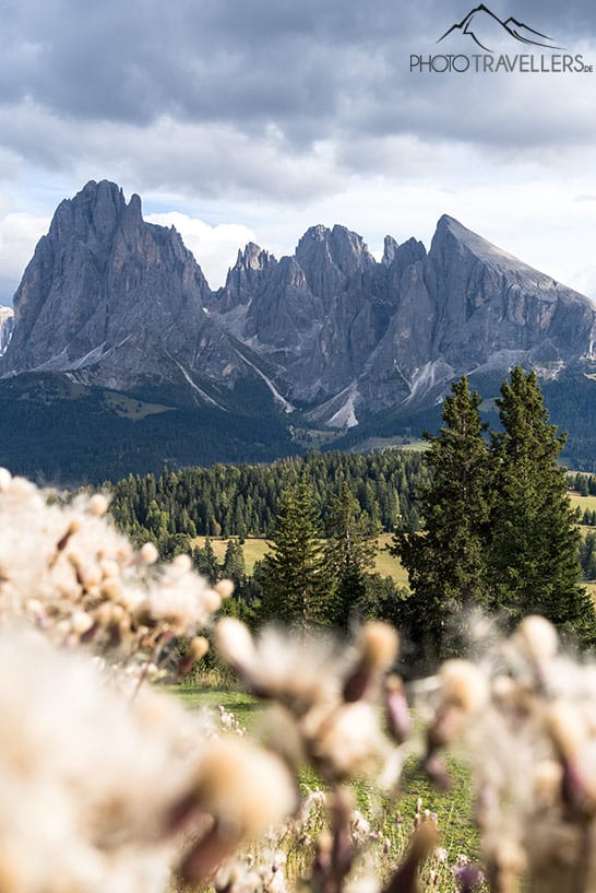 Der Blick auf Lang- und Plattkofel