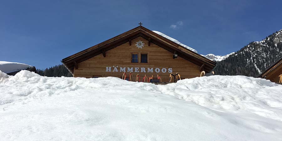 Hämmermoosalm – Pflichtprogramm an meinem 10.000-Euro-Wochenende