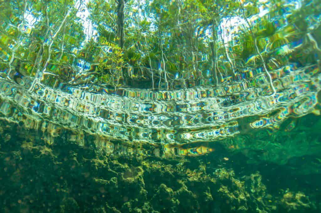 jaskinie słodkowodne pod wodą na kubie
