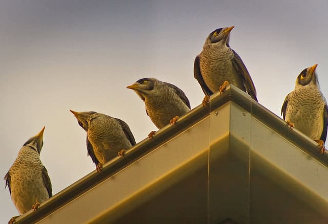 Louise Docker 30 Days of Gratitude- Day 25