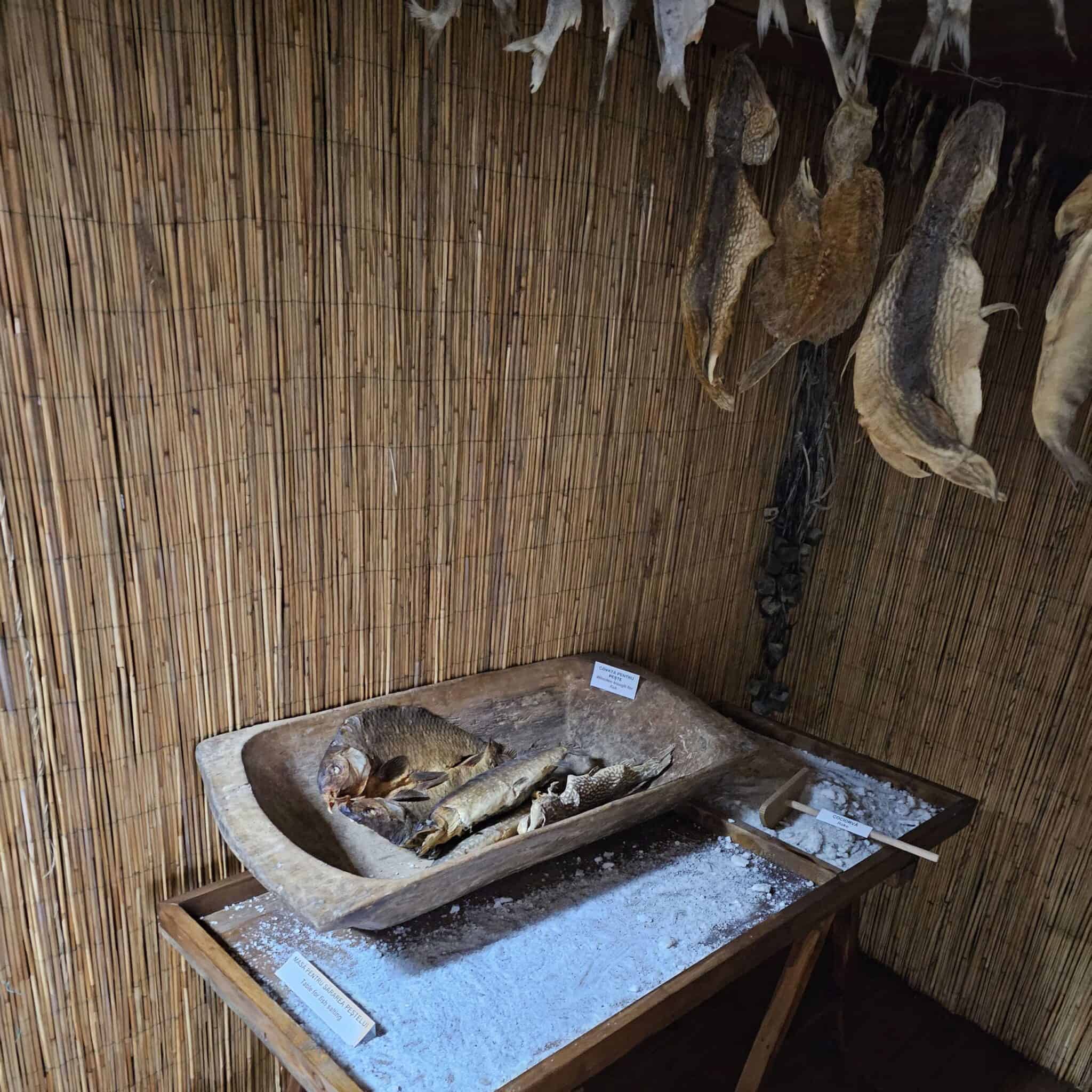 Muzeul Deltei Dunării, Tulcea - instantaneu de cherhana