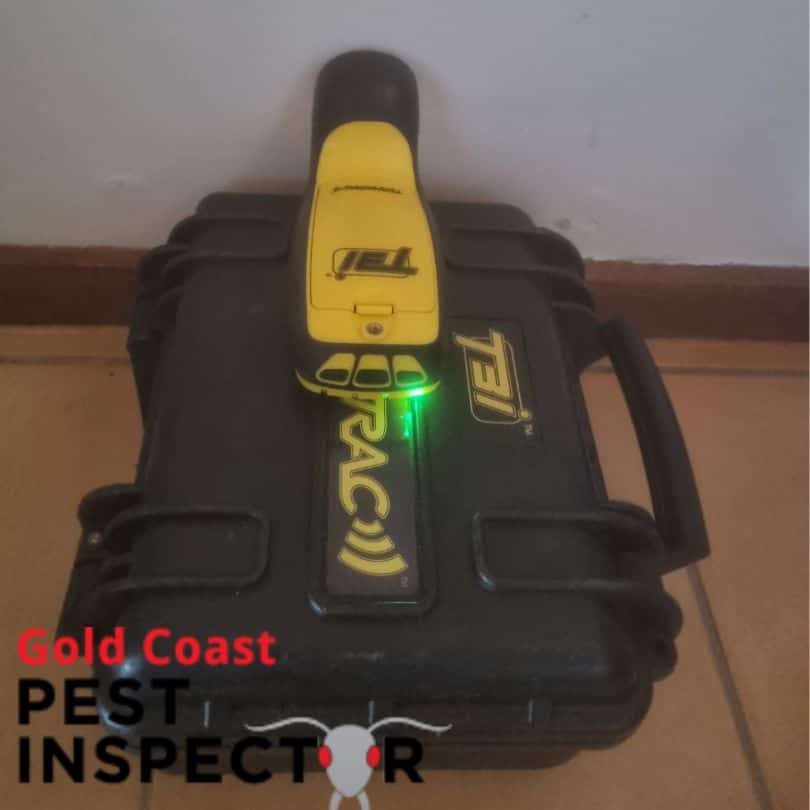 thermatrac termite hunting technology