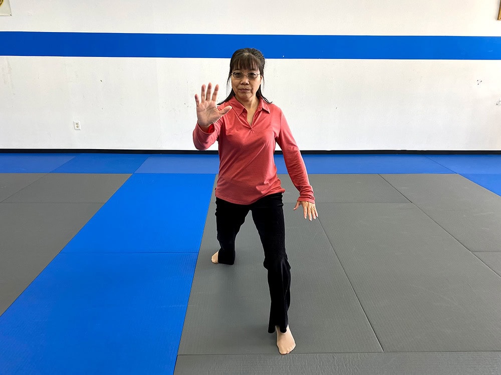 Shannon Luo tai chi instructor in Coatesville, pa