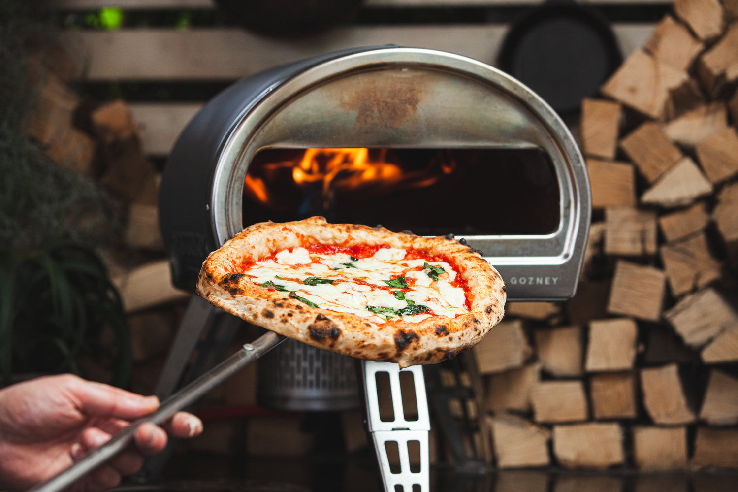 best black friday home kitchen sales