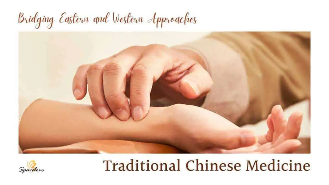 traditional chinese medicine