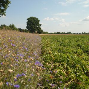 Biodiversity Needs a Change in Policy