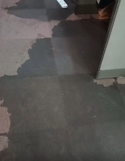 Before Singapore Carpet Cleaning Pte Ltd carpet cleaning the water damaged carpet Before Singapore Carpet Cleaning Pte Ltd carpet cleaning the water damaged carpet