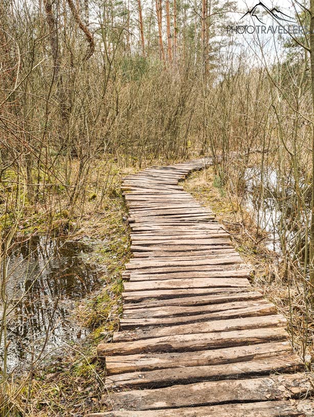 Steg im Tennenloher Forst