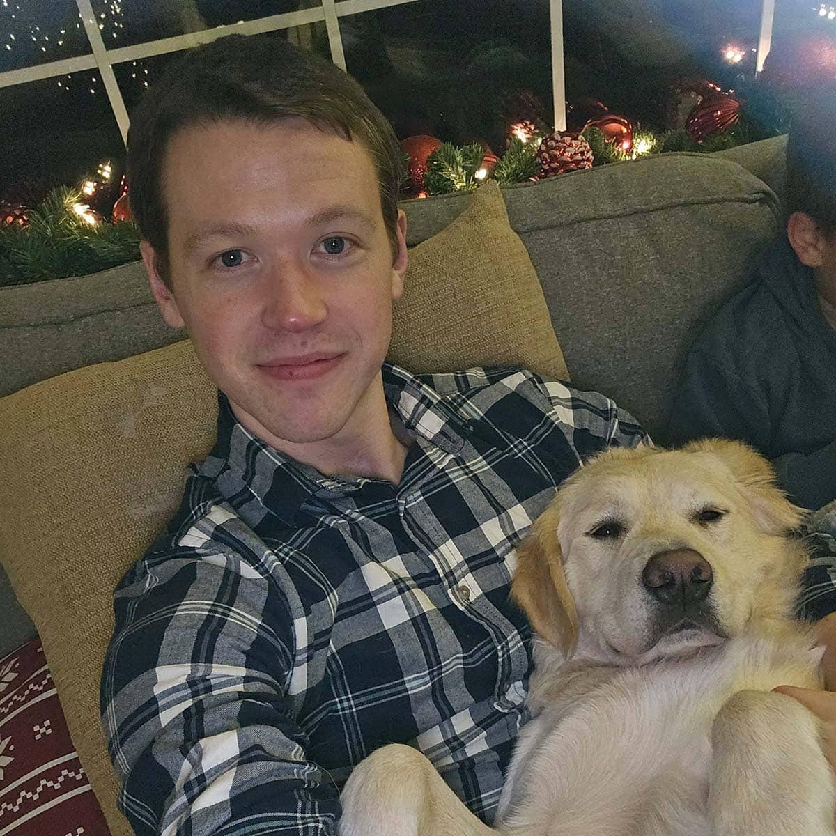 A man in a plaid shirt sits on a couch holding a relaxed yellow dog; holiday decorations and lights are visible in the background.