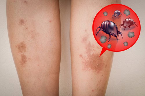 Why You Should Clean Home Sofa Frequently? - Conclusion