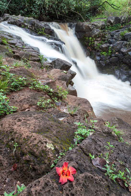 Der Wasserfall Ho'opi'i Falls auf Kauai