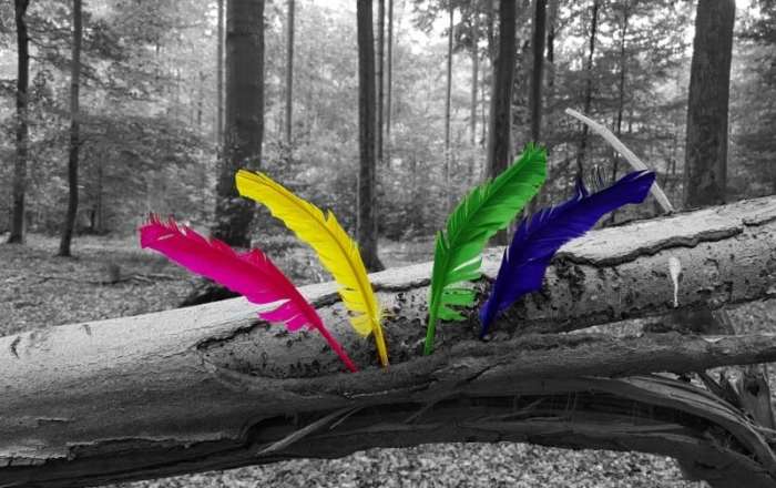 photoart_10082016182021