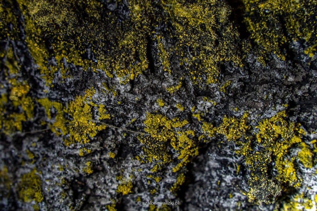 sztolnia królowa luiza