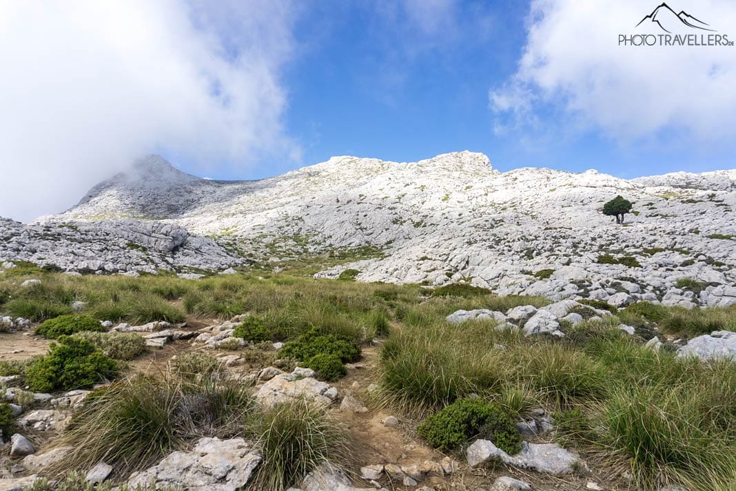 Die weiße Schnee-Ebene "Pla de sa Neu" auf Mallorca, ein felsiges Bergplateau