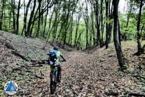 74604729_2584998961556514_4659320379720859648_n