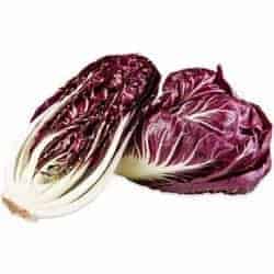 radicchio achicoria Radicchio gokid legume ordonate alfabetic