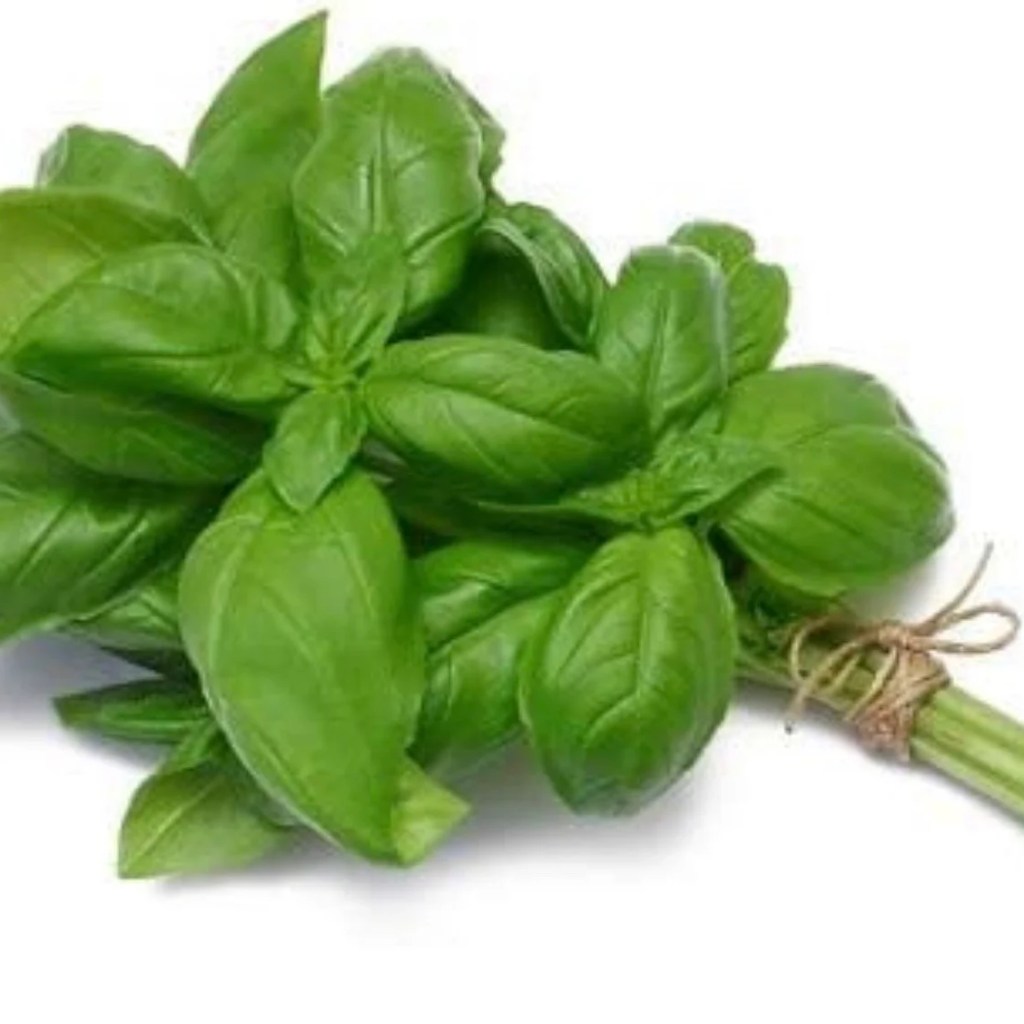 Welcome to Leo Season 11 Kjahli