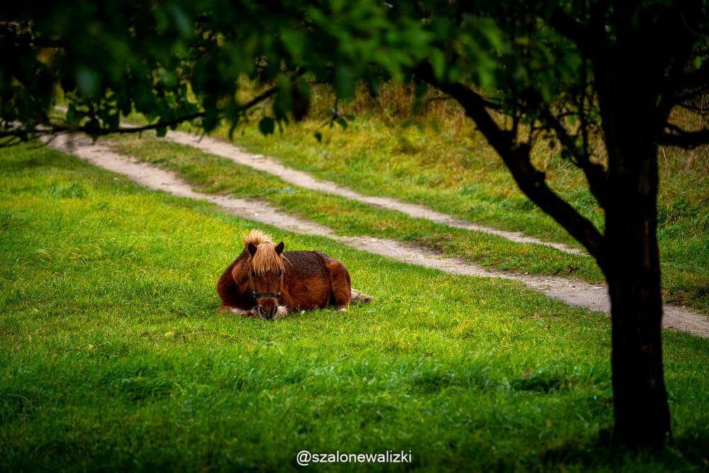 glamping na pomorzu zachodnim