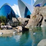 5-locuri-de-vizitat-in-Valencia-cu-copii-la-oceanografic 5-locuri-de-vizitat-in-Valencia-cu-copii-la-oceanografic