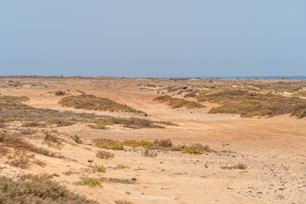 wyspy zielonego przylądka