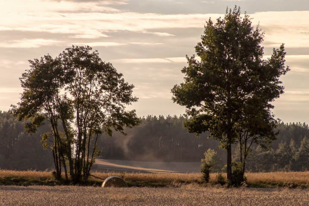 obserwatorium astronomiczne w truszczynach