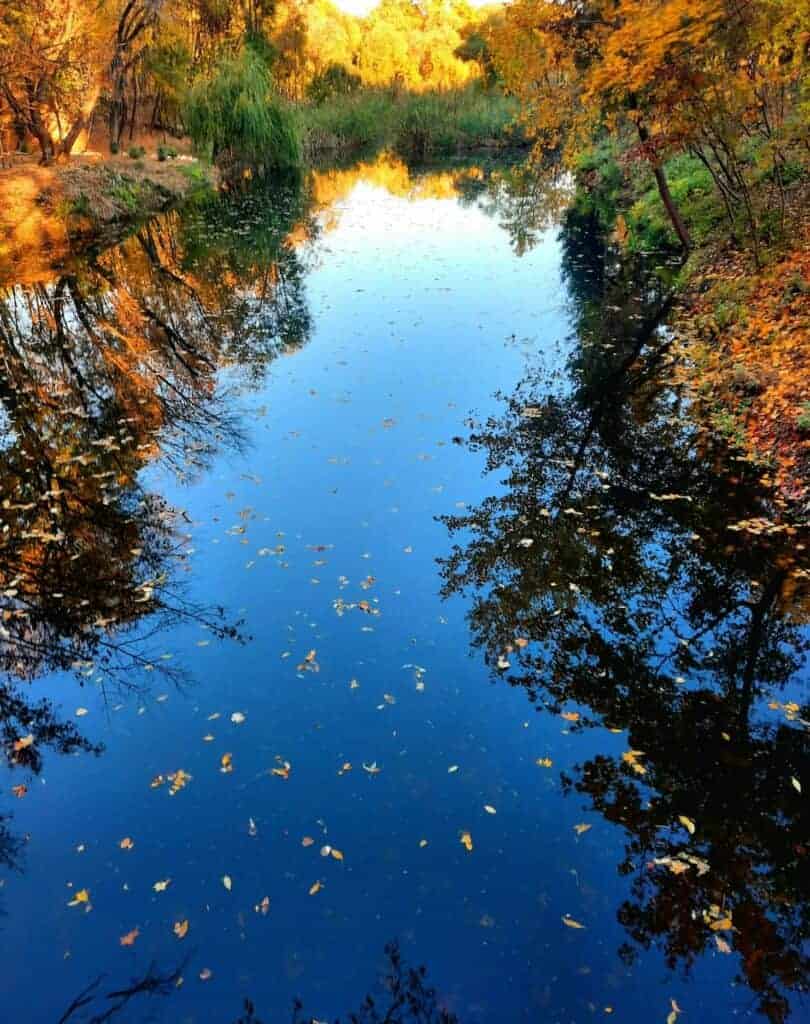 parcul sticlariei sector 2 Bucuresti lac