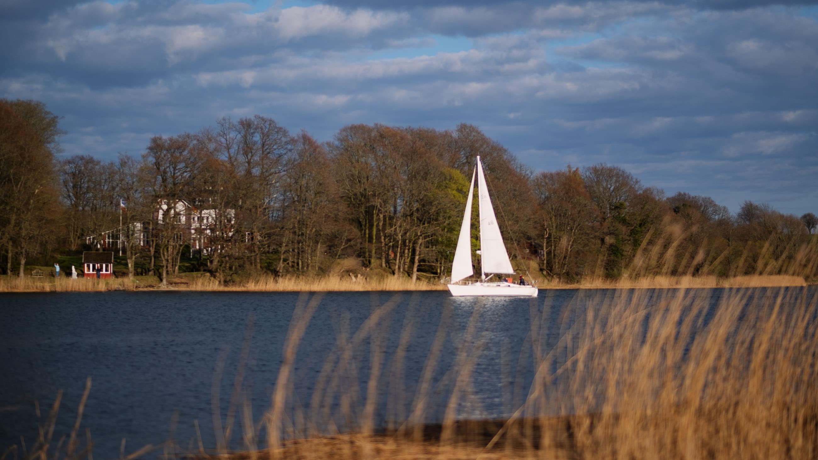 Abendstimmung Schlei