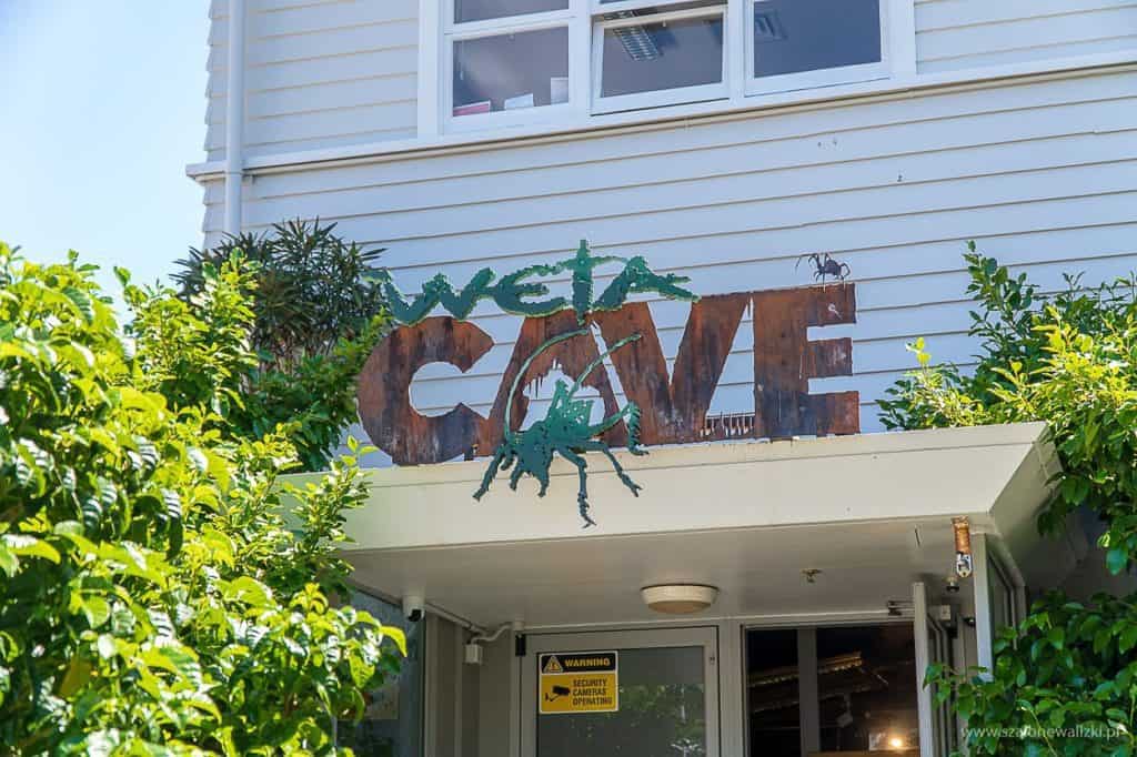 filmowa nowa zelandia