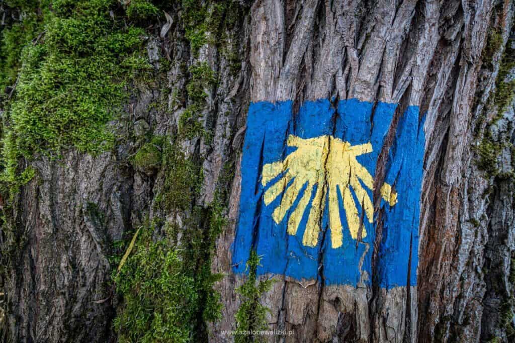 szlak jakubowy w olsztynie