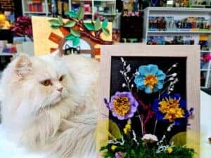 327115088_6348989058467326_2098364260149952187_n