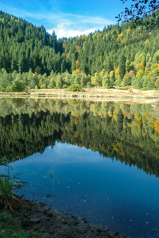 Der schöne Sankenbachsee ist die Wanderung wert