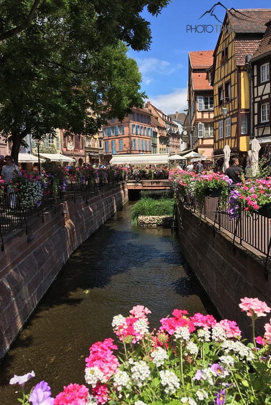 Das Fischerufer mit den bunten Blumenkästen in Colmar