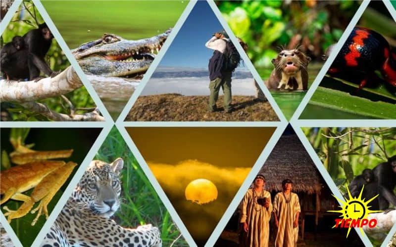 Parque_nacional_manu