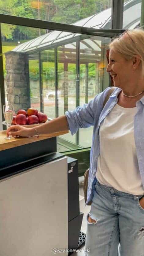 hotel spa dr Irena Eris krynica zdrój