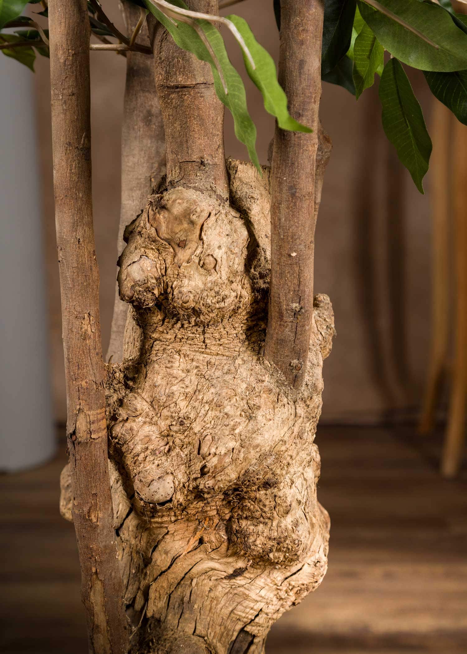 ficus-pianta-artificiale-tronco-particolare-tronco