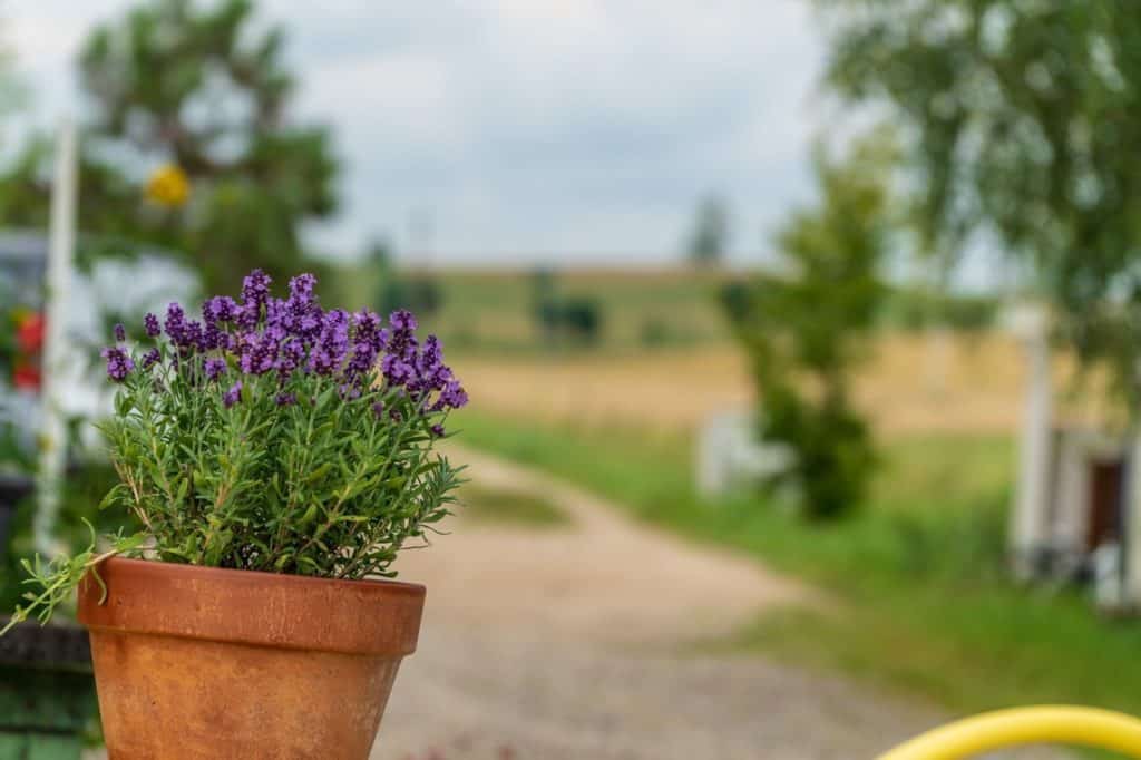 Warmia nie zawsze święta
