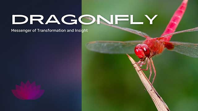 DRAGONFLIES: UNVEILING THE SPIRITUAL SYMBOLISM 3 a glimpse beyond the veil