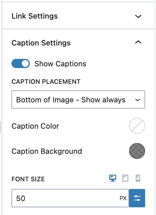 Kadence Gallery Block Guide for Beginners 18 screenshot of captions menu