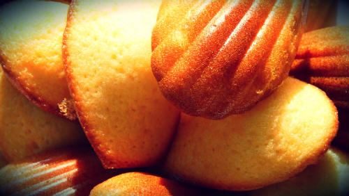 Les délicieuses madeleines de Philippe Conticini