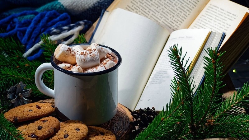 Books, cookies, mug of cocoa, and holiday greenery