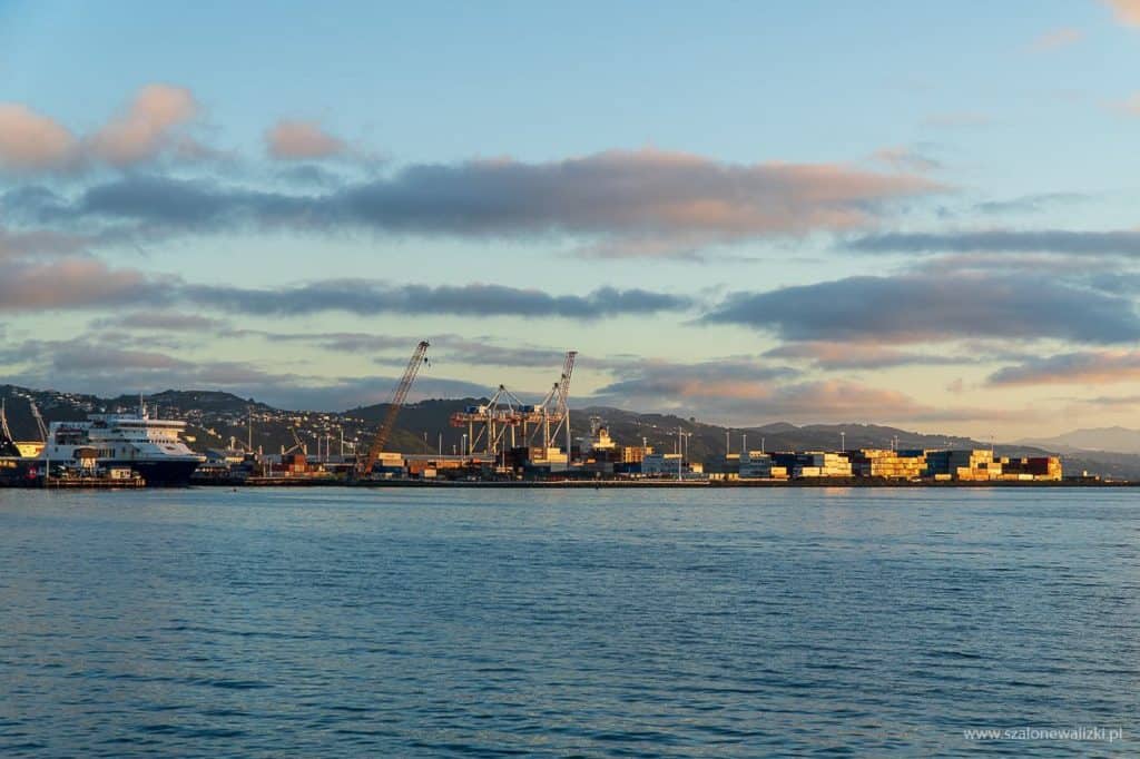 wellington w nowej zelandii