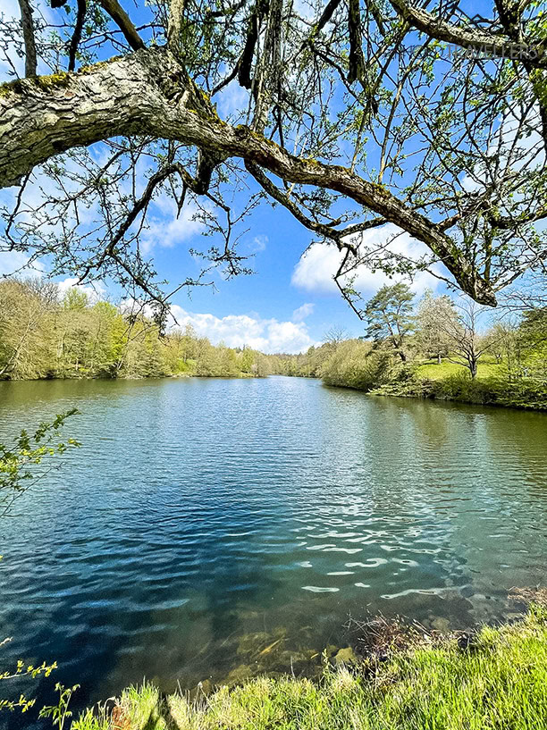 Der Bärsensee bei Stuttgart