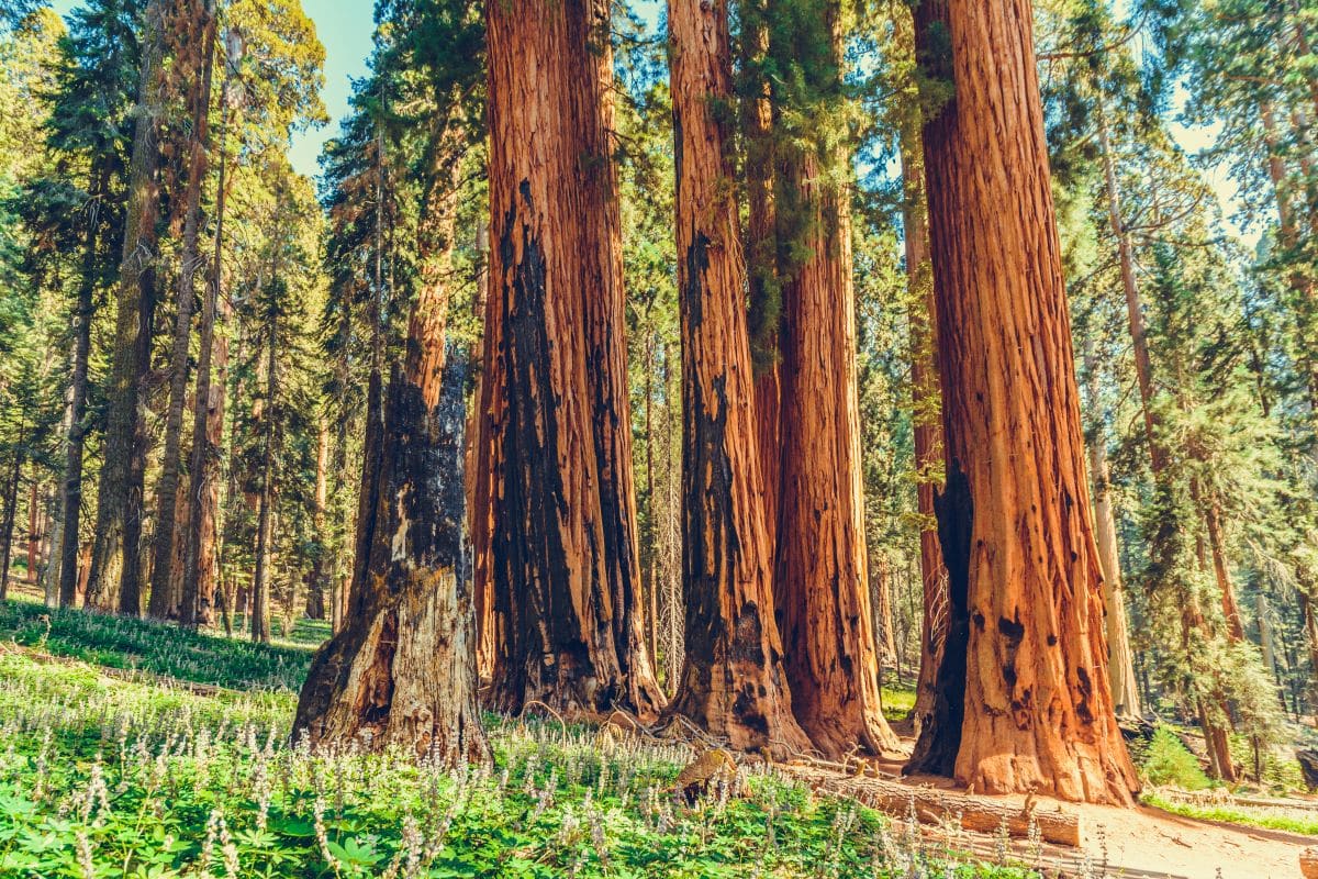 when to visit national parks