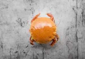 The Fat Bull Co., burgerโ, burger near meโ, hamburgerโ, burger restaurantโ, best burger in limassolโ, best burgers in nicosiaโ, burger nicosiaโ