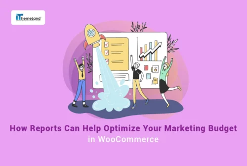 How Reports Can Help You Optimize Your WooCommerce Marketing Budget?