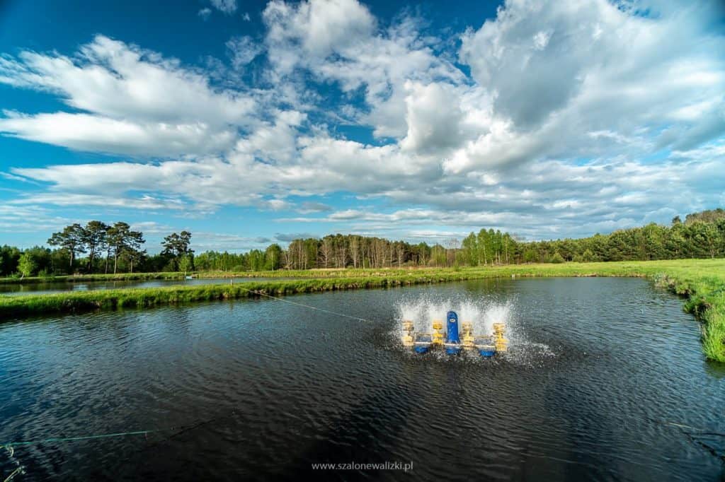 Olsztyn i okolice Olsztyna