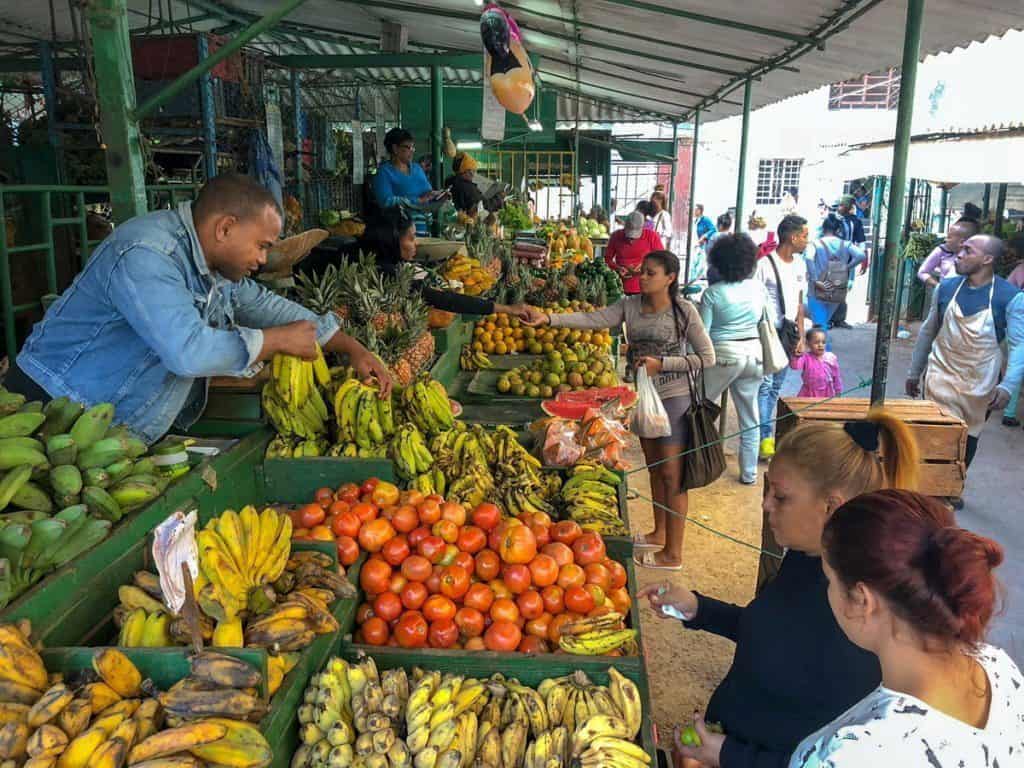 kuba na własną rękę