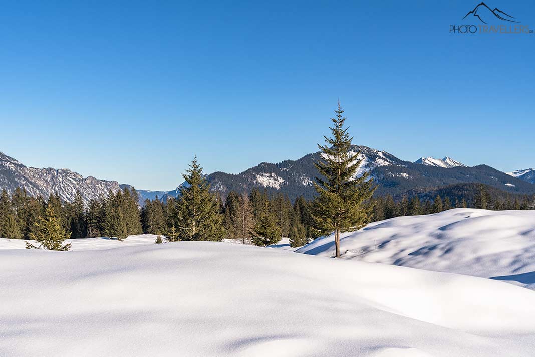 Der Blick von der verschneiten Hemmersuppenalm zum Sonntagshorn