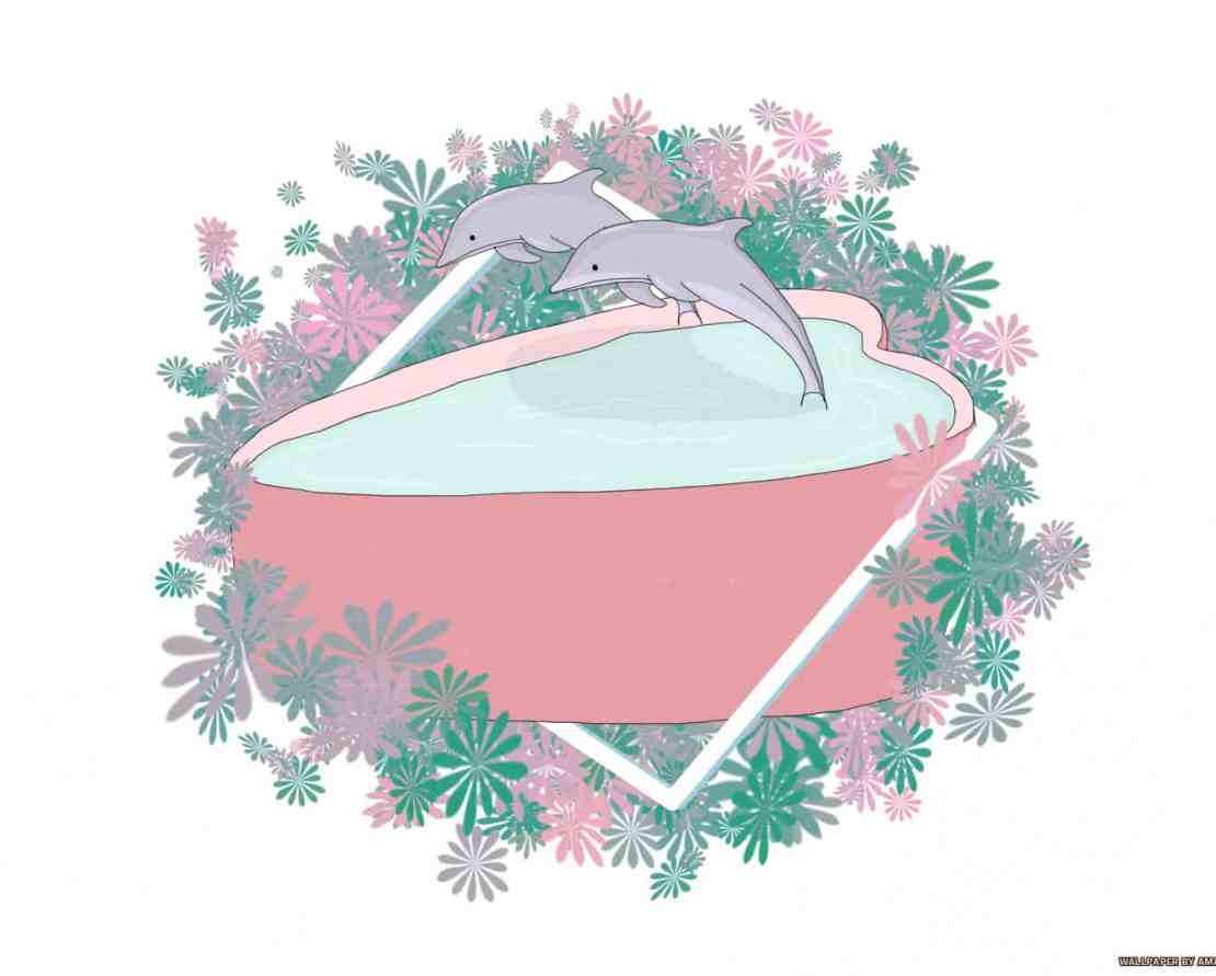 dolphins