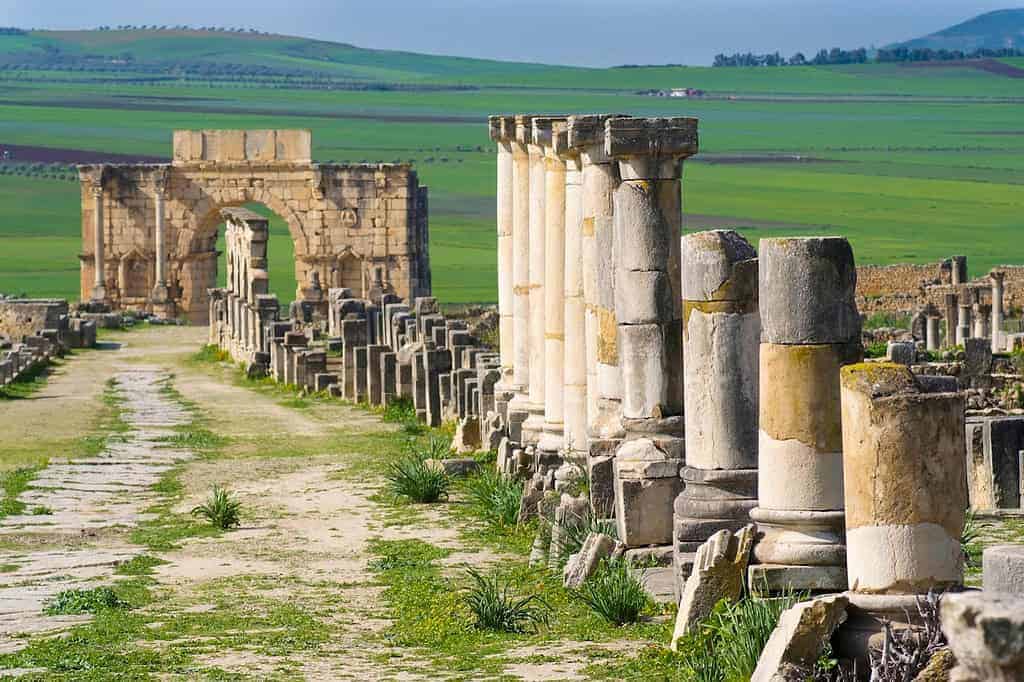 moroccoculturetravel-morocco-volubilis-la-rome-antique-guided-tour-in-Meknes-